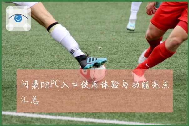 问鼎pgPC入口使用体验与功能亮点汇总